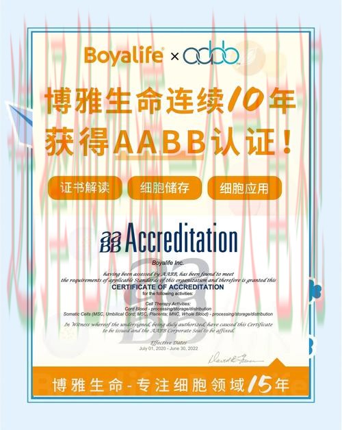 博雅体育网页版登录入口