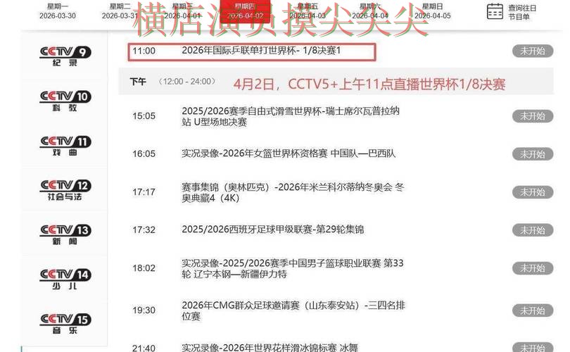 盘点世界杯买球平台：从赛事直播到直播观看全流程解析 - 2026世界杯